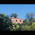 Arizona *